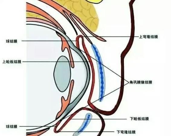 来看看深圳华厦眼科眼科项目价格表 做半飞11500/角膜塑形镜8000挺便宜