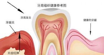 合肥2025根管治疗五大口腔医院排名，这五家牙科正规环境好值得推荐