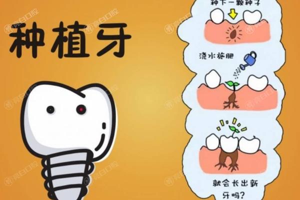 2025沈阳国睿口腔医院怎么样啊多少钱?揭秘种牙3000+矫正9800+补牙200+