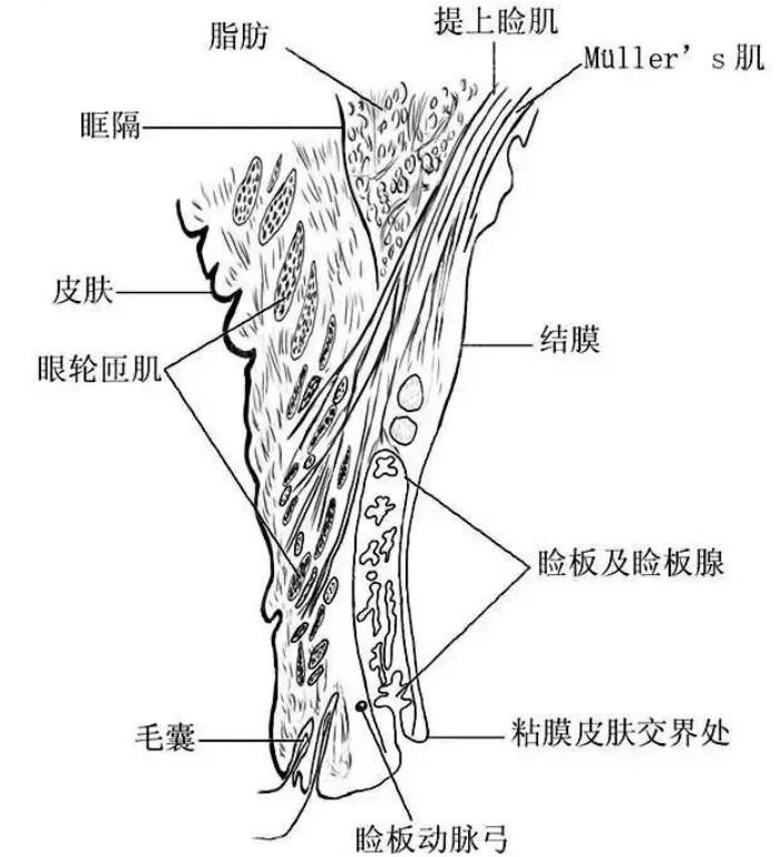 做散光晶体手术全过程实拍,解析术后恢复期