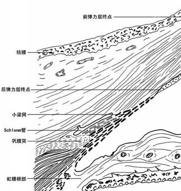 成都角膜塑形镜便宜又好的医院 佰视佳、新视界、普瑞这几家很出名