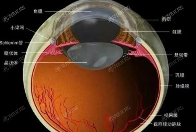 公布南京眼科医院白内障手术收费标准一览 网友直呼连续视程晶体23000元+可调节晶体19500元+太实惠