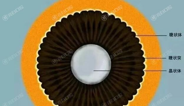 新的乌鲁木齐眼科医院近视眼手术收费价格 价格表显示smile全飞秒17600/精雕C+14000元起
