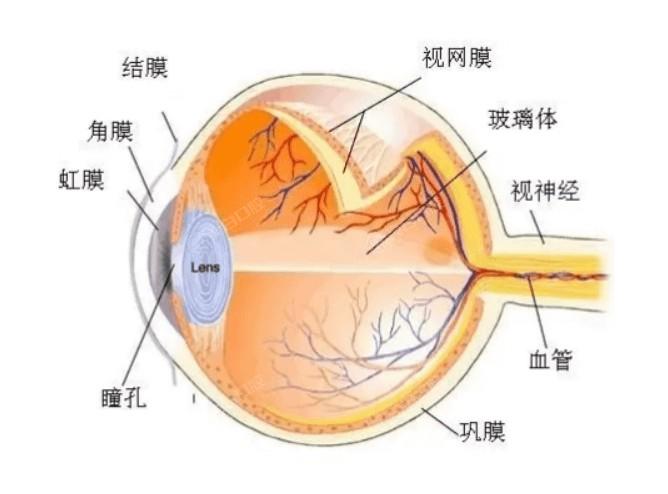 重庆ICL晶体植入医院排名 这几家口碑好网友都认可