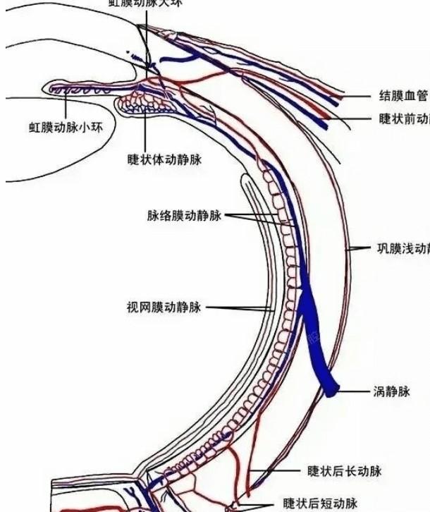 新的苏州眼科医院青光眼手术收费价格 /元起