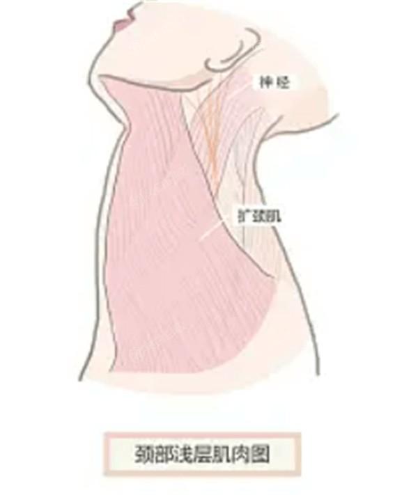 惠州去副乳排名好的医院名单 