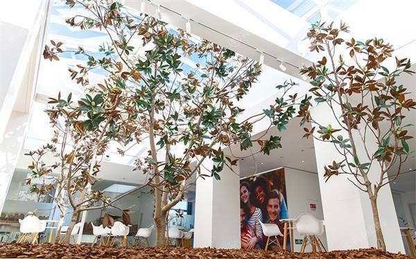 天津和平海德堡联合口腔医院怎么样？二级口腔专科医院做种植牙技术好大家超放心