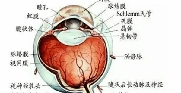 中老年患视网膜脱落风险高？TRAB 手术结合日常护理告别眼疾烦恼